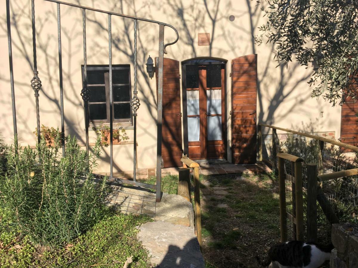 La Banditaccia Monticello Amiata Exterior foto
